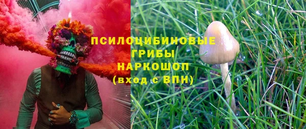 индика Алзамай