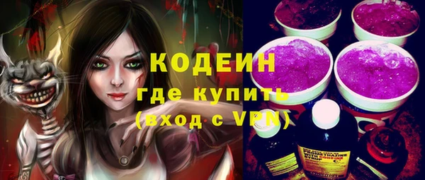 хмурый Алексин