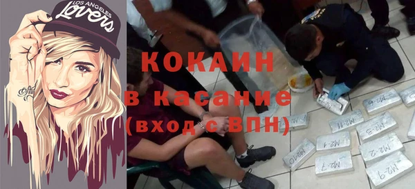 хмурый Алексин