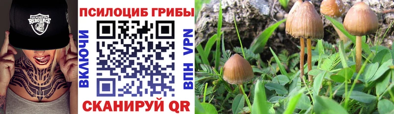 Псилоцибиновые грибы MAGIC MUSHROOMS  Калач 